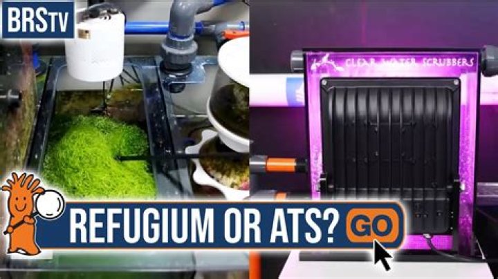 What does a refugium do
