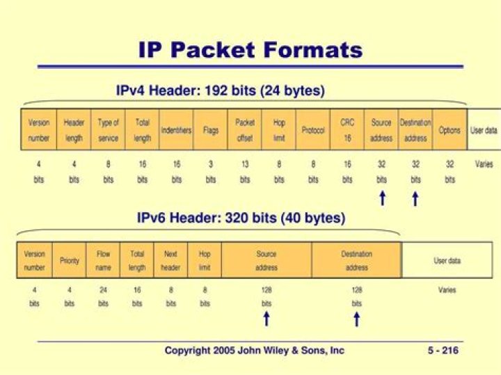 What does an IP packet look like