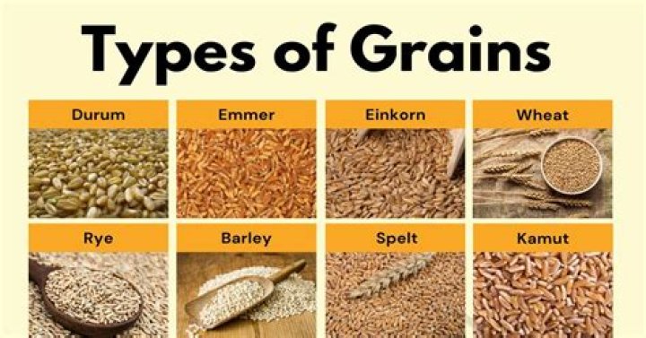 What does grain mean in science