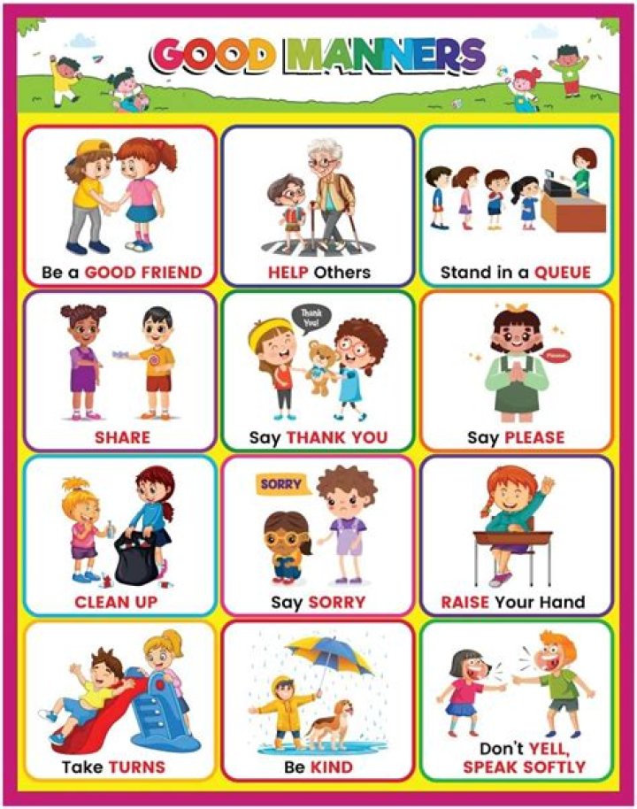 What does have some manners mean