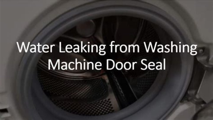 What does it mean when your washing machine leaks oil