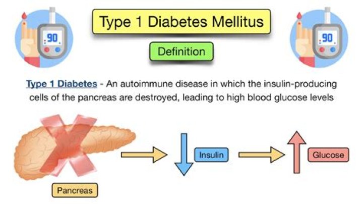 What does non insulin dependent diabetes mellitus mean