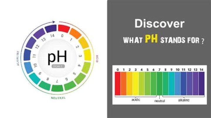 What does NPBT stand for