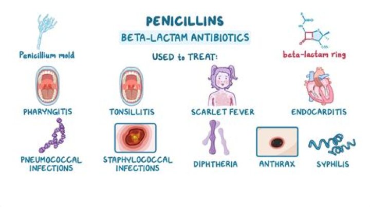 What does penicillin cure in dogs