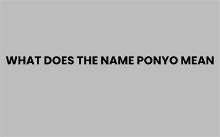 What Does Ponyo Mean - How To Discuss
