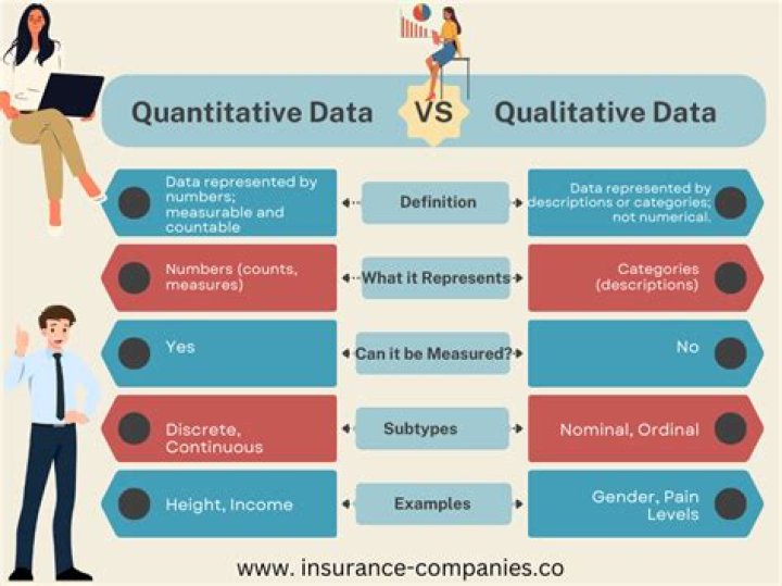 What does qualitative information mean