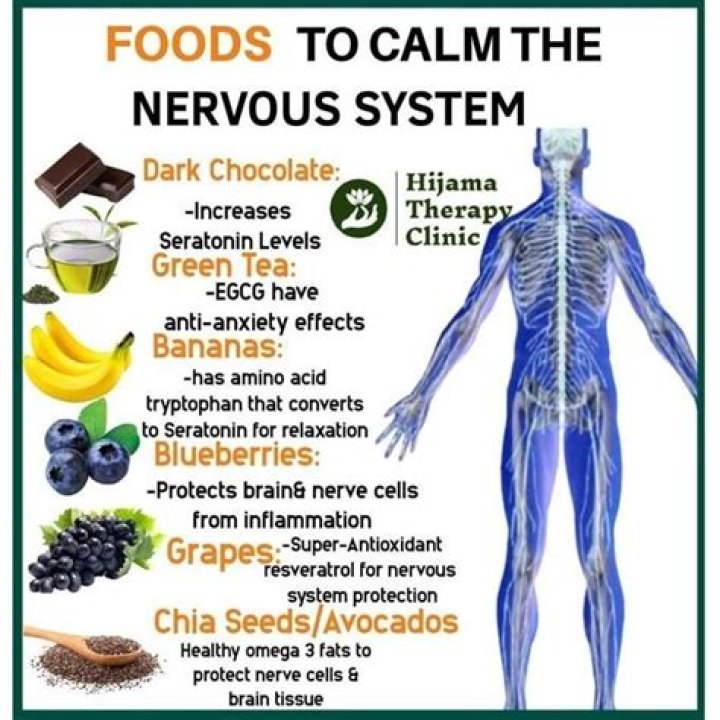 What effect would a totally sodium free diet have on the nervous system