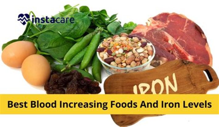 What foods increase iron levels