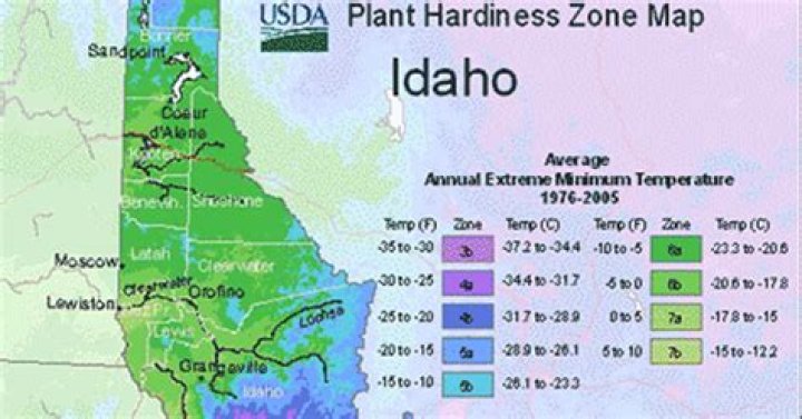 What growing zone is Lewiston Idaho