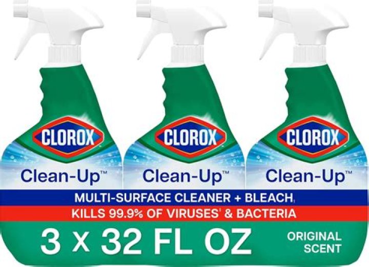 What happens if you spray bleach on mold