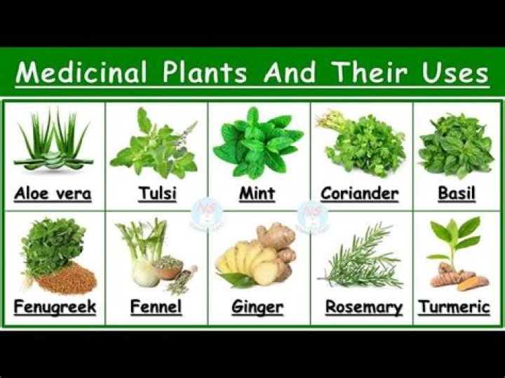 What herbs are used for medicinal growth
