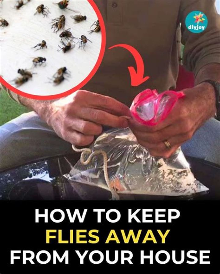 What household product keeps flies away