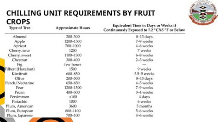What is a chilling requirement for fruit