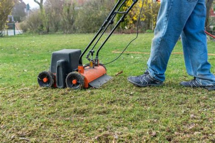 What is a Dethatcher for lawn