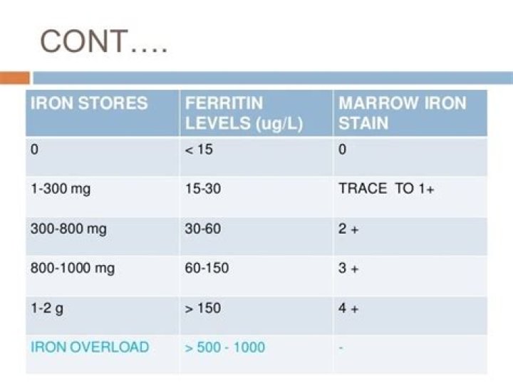 What is a good iron level