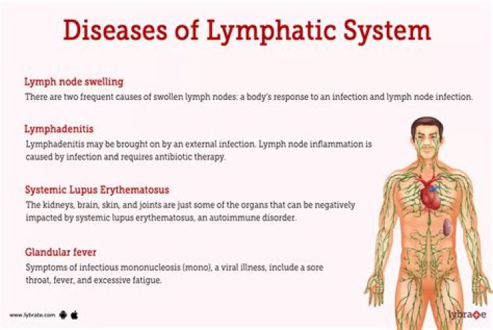 What is a lymphatic disease
