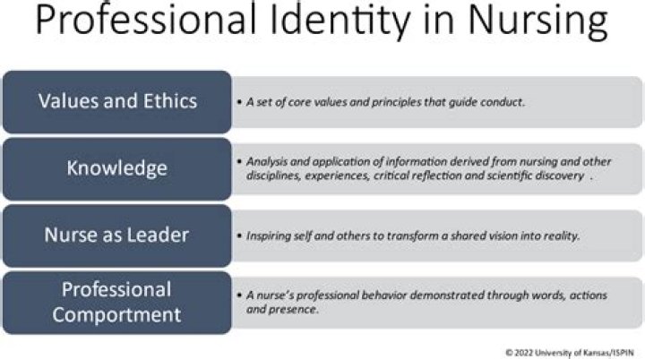 What is a professional nurse definition