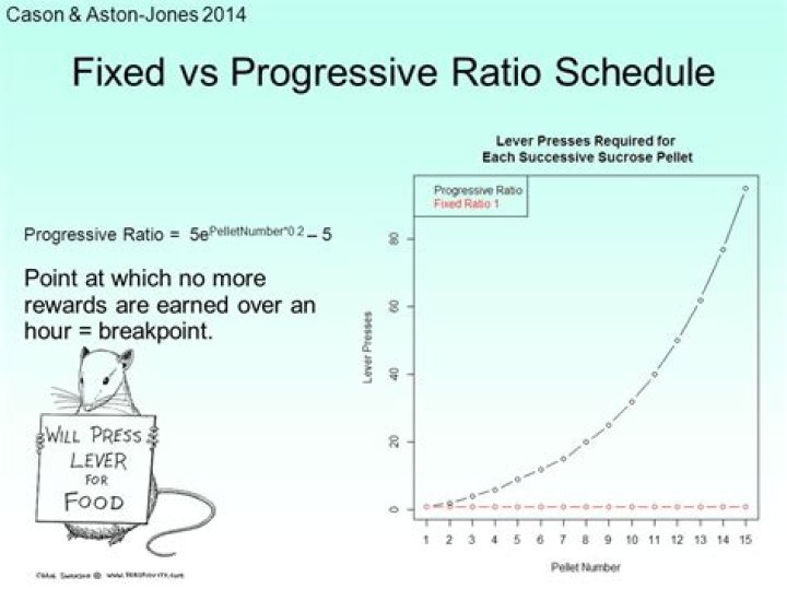 What is a progressive ratio schedule