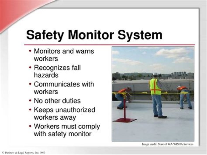 What is a safety monitoring system