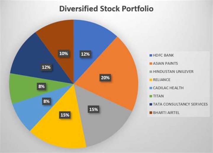 What is a stock portfolio