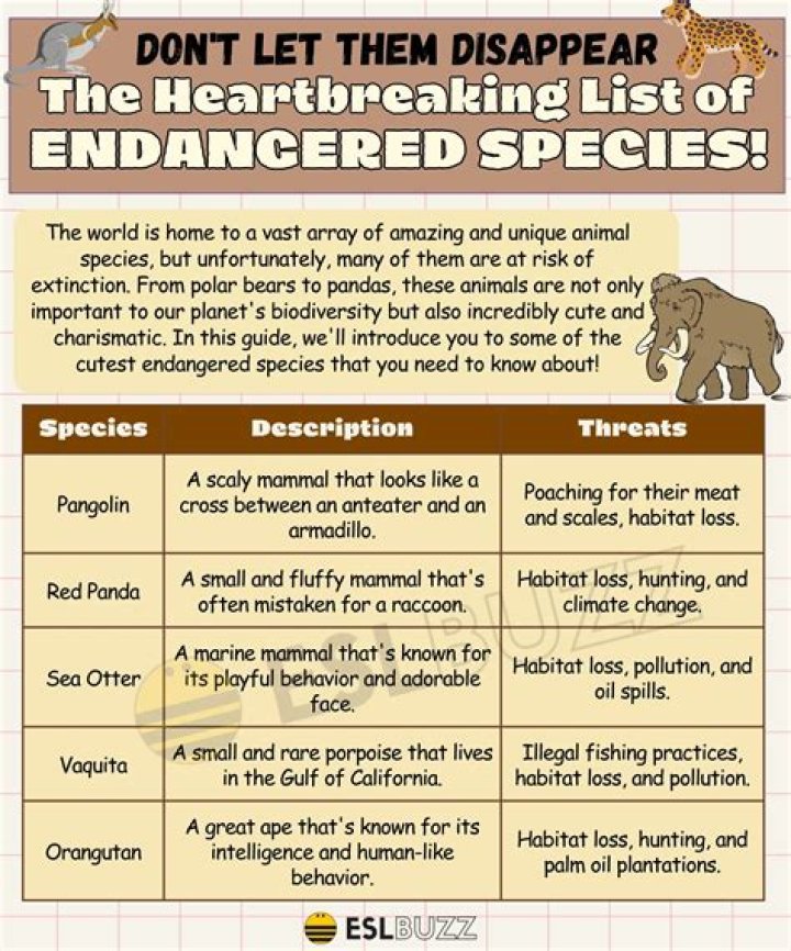 What is a threatened species example