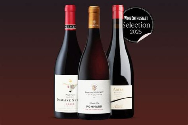 What Is A Wino - How To Discuss