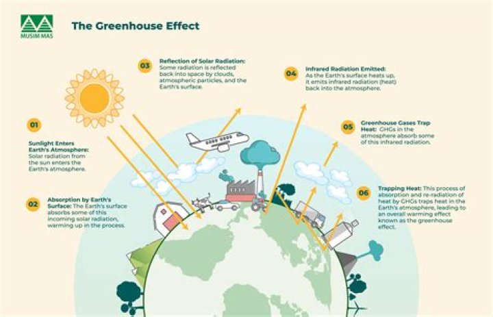 What is an anthropogenic greenhouse gas discuss the various anthropogenic greenhouse gases in terms of their potential to cause global warming