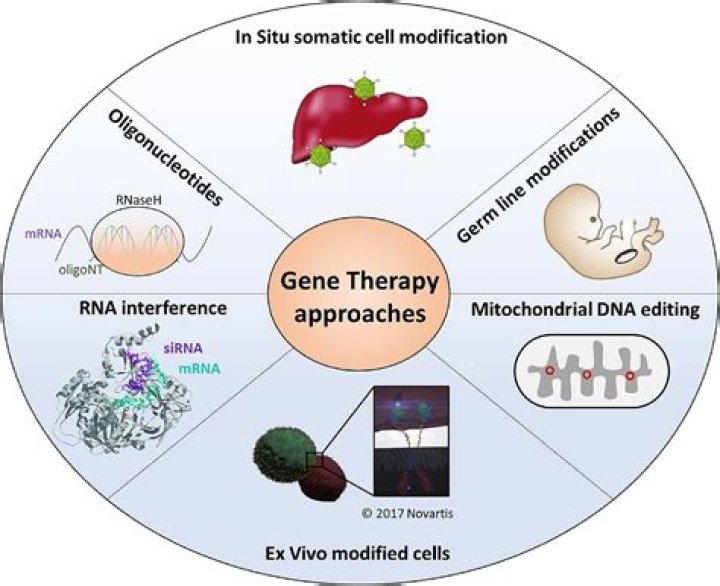 What is an example of gene therapy