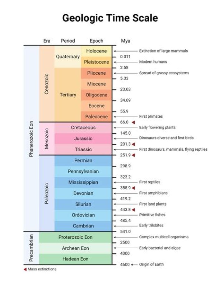 What is an example of geologic time scale