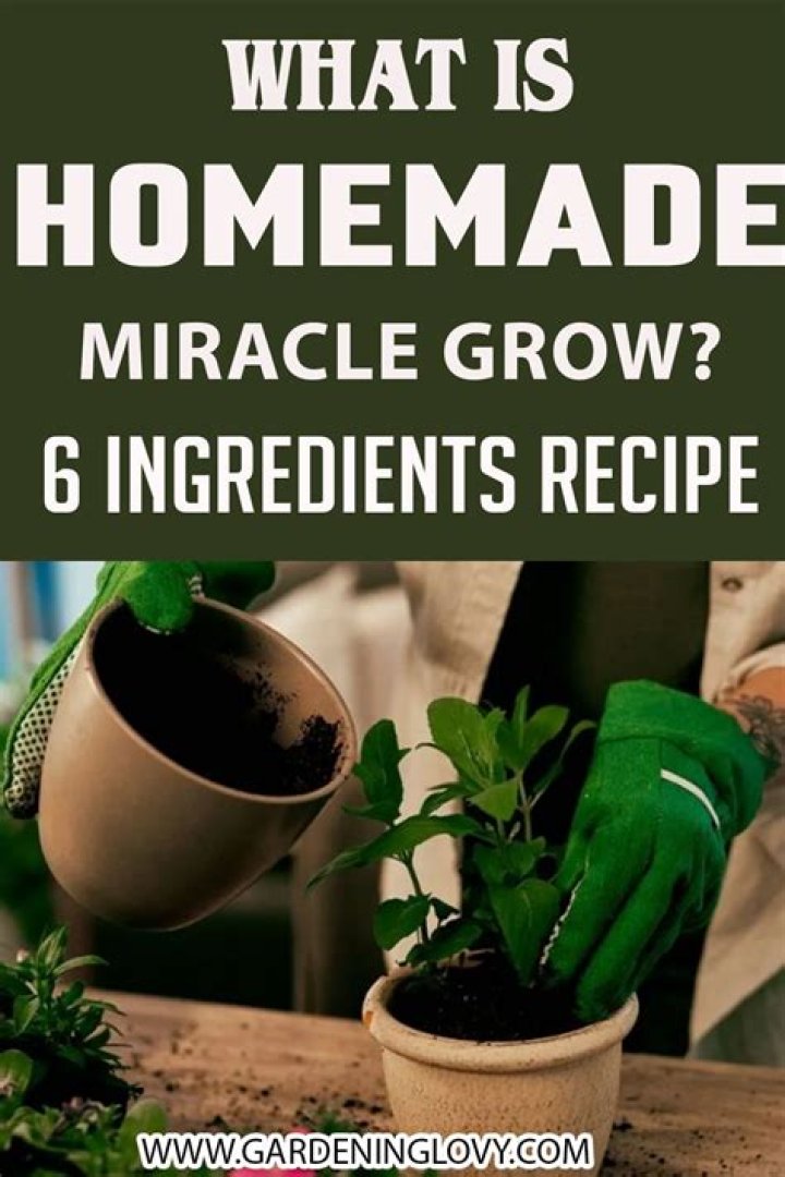 What is bad about Miracle Grow