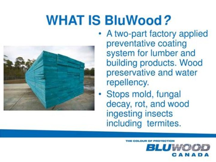 What is BluWood