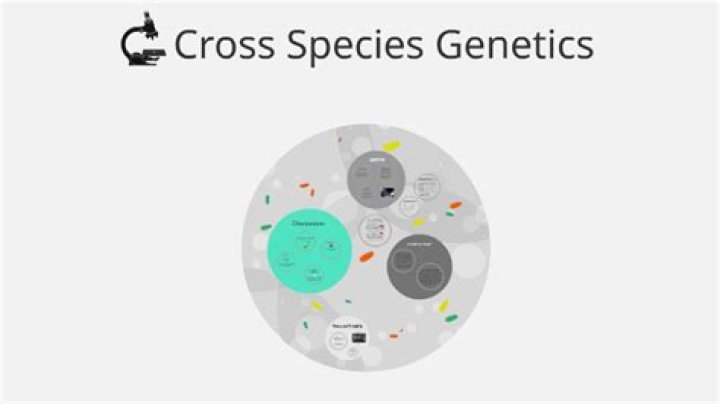 What is cross species genetics