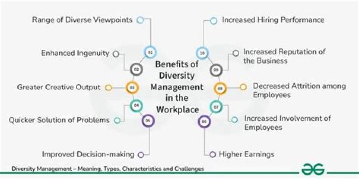 What is diversity management PDF