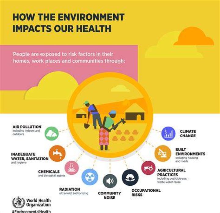 What Is Environmental Factors In Health And Social Care