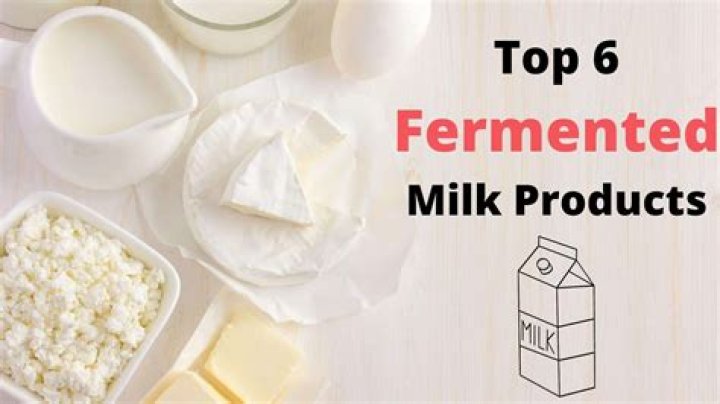 What is fermented dairy