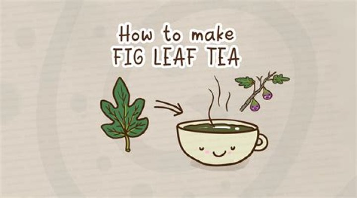 What is fig leaf tea good for