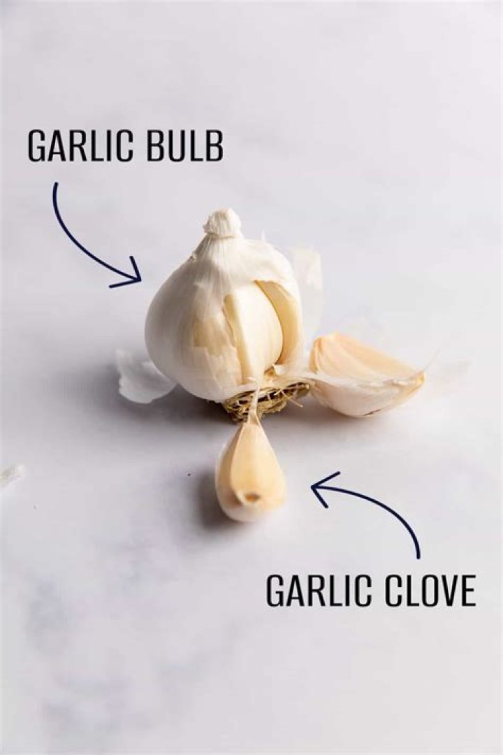 What is garlic made up of
