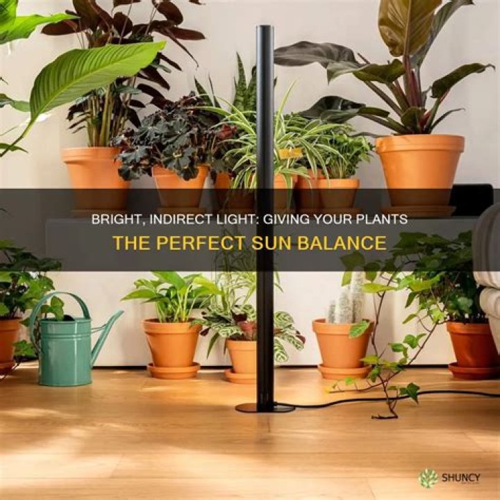 What is indirect sunlight outdoor