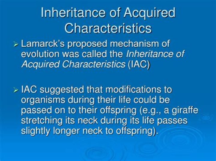 What is Lamarck theory of inheritance of acquired characteristics