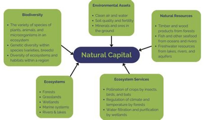 What is natural capital and why is it important