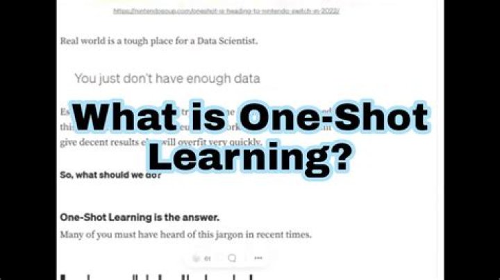 What is oneshot study