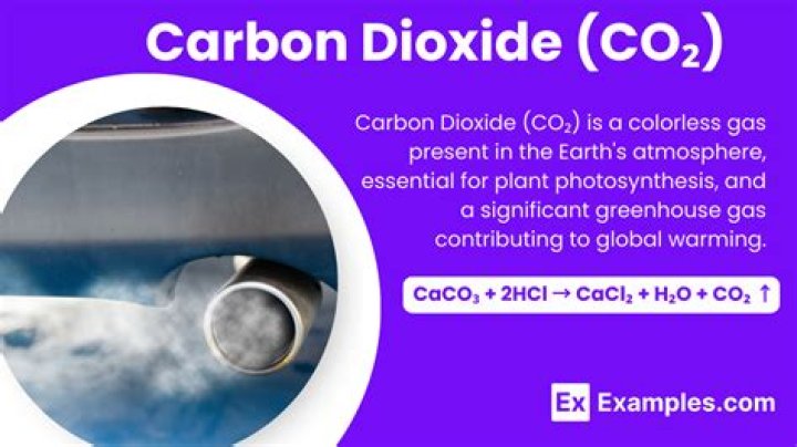 What is partial carbon dioxide