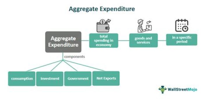 What is the aggregate expenditure function