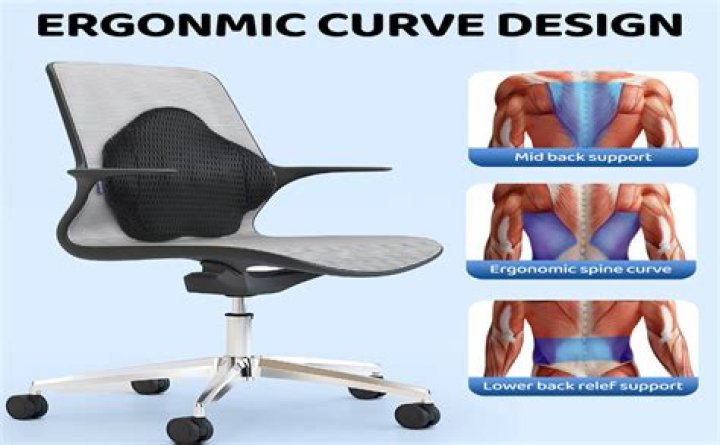 What is the best lumbar pillow