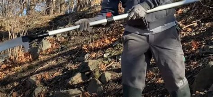 What is the best pole pruner