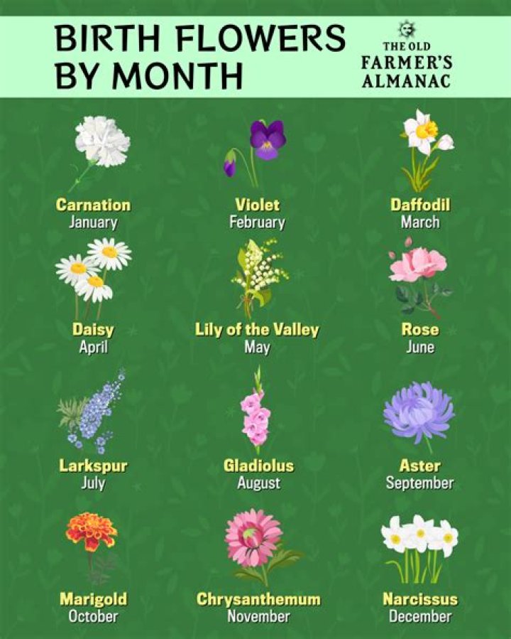 What is the birth tree for August