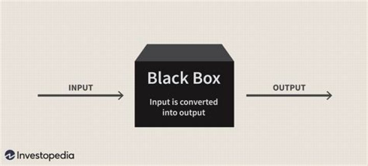 What is the black box model