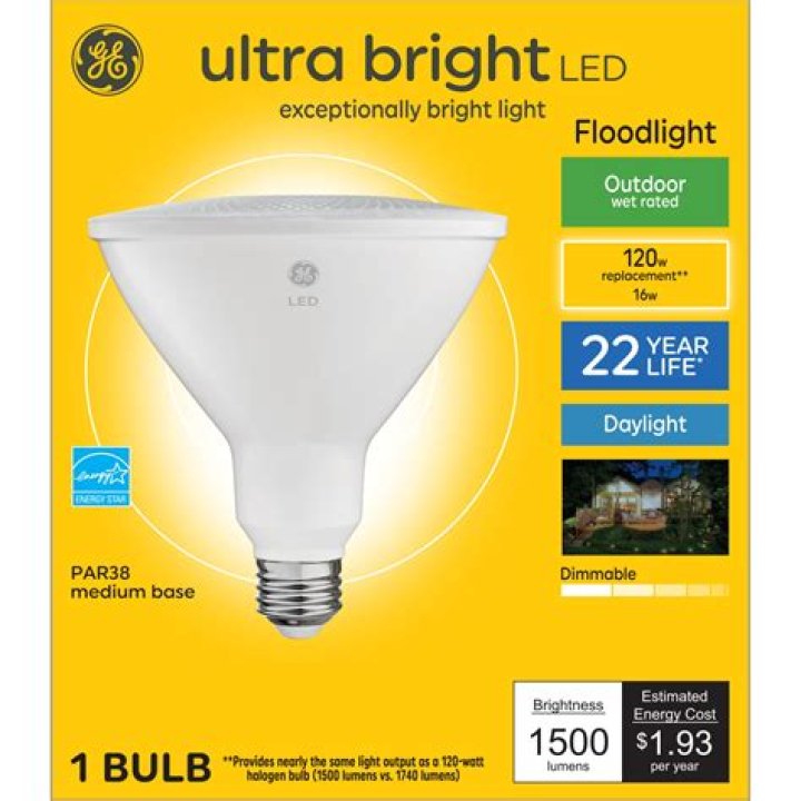 What is the brightest outdoor light bulb