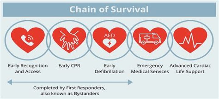 What is the chain of survival in CPR
