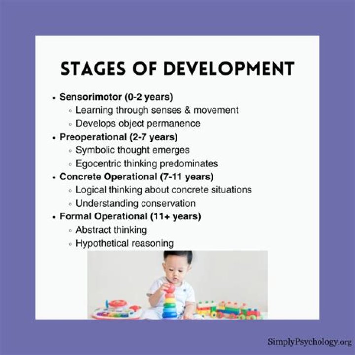 What is the cognitive development theory of dreaming